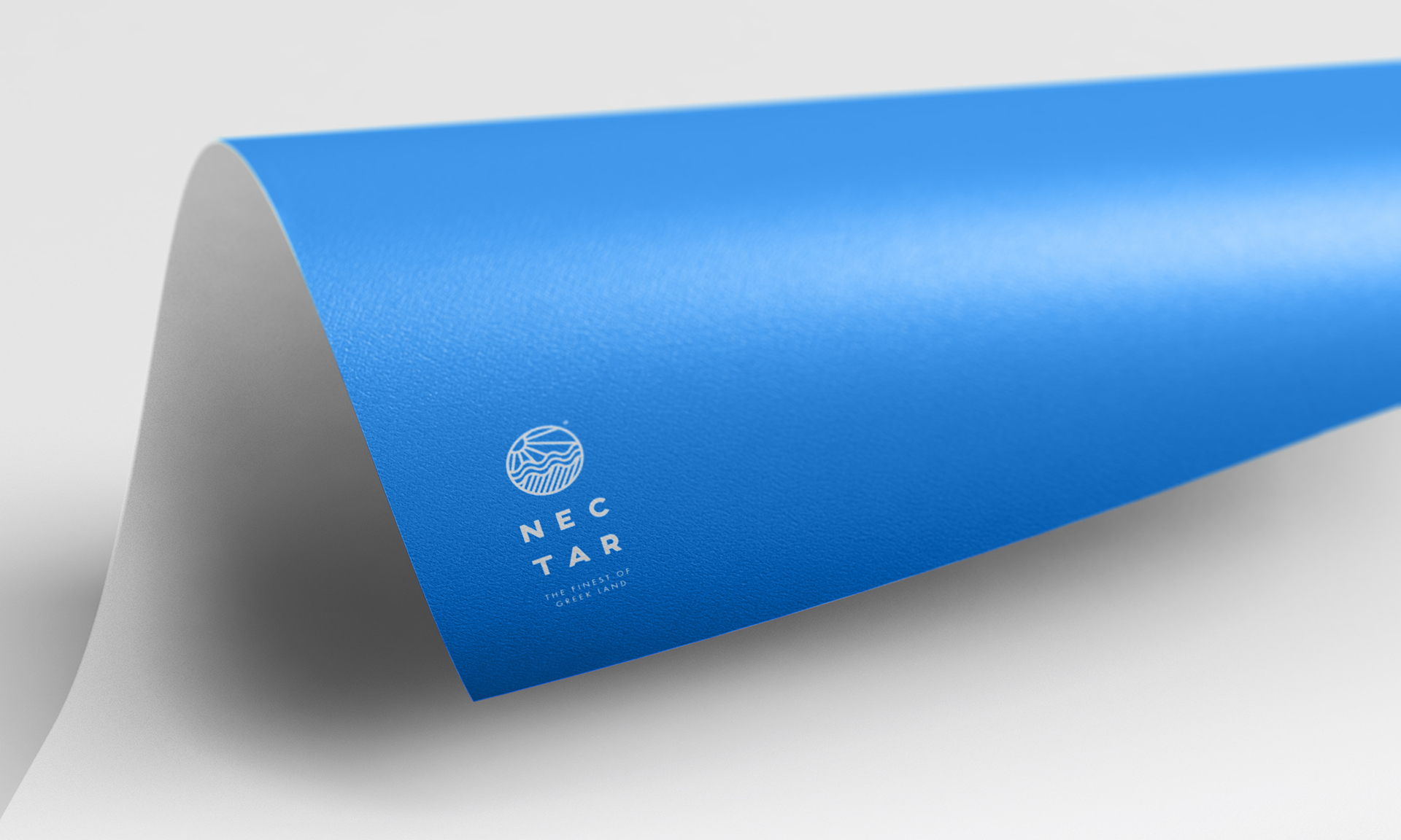minimalistic branding design